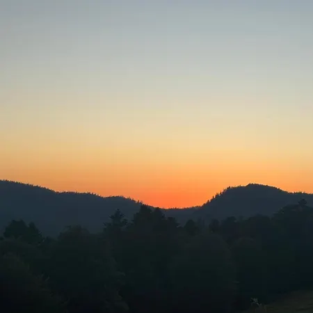 Les Lupins Avec Sauna Et Petit Dejeuner Inclus 2 A 4 Personnes Frühstückspension Geishouse