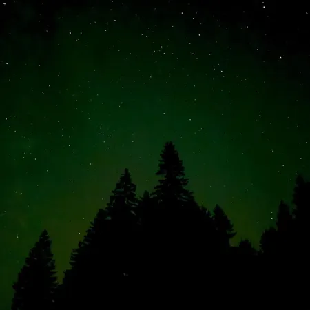 Les Lupins Avec Sauna Et Petit Dejeuner Inclus 2 A 4 Personnes Geishouse