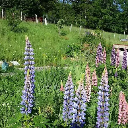 Les Lupins Avec Sauna Et Petit Dejeuner Inclus 2 A 4 Personnes ベッド・アンド・ブレックファスト Geishouse