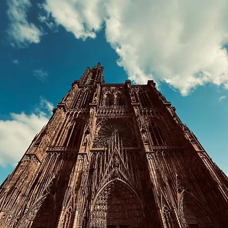 Les Lupins Avec Sauna Et Petit Dejeuner Inclus 2 A 4 Personnes Geishouse