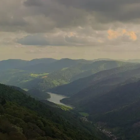 Les Lupins Avec Sauna Et Petit Dejeuner Inclus 2 A 4 Personnes Frühstückspension Geishouse