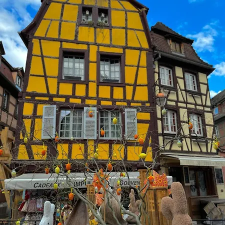 Frühstückspension Les Lupins Avec Sauna Et Petit Dejeuner Inclus 2 A 4 Personnes Geishouse